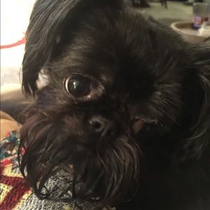 Meet your Posher, Kim